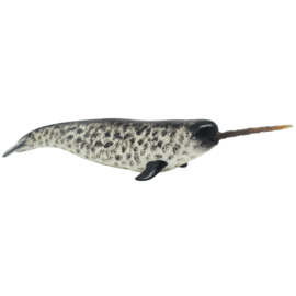 Narwhal Recur