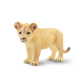 Lion cub standing  Toymany