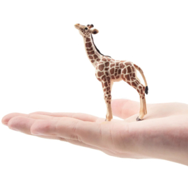 Giraffe  kalf  Toymany