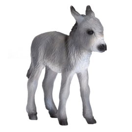 Donkey foal  Mojo 387398