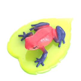Strawberry frog