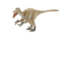 Velociraptor  1:6  CollectA 88407
