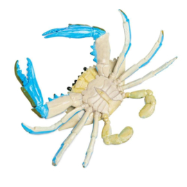 Blue Crab SafariLtd 269729