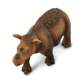 Sumatran Rhino  S100103