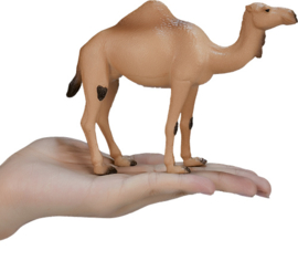 Camel Mojo 387113