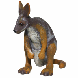 Rotswallaby 75223  small