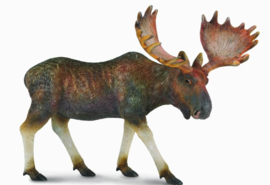 Moose CollectA 88335