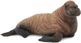 Walrus kalf   CollectA 88570