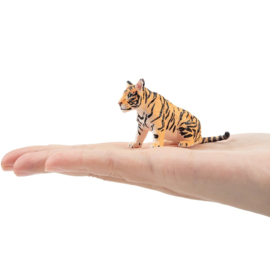 Tiger cub sitting Toymany