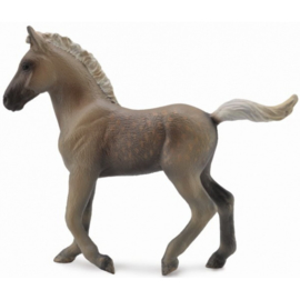 Rocky Mountain Foal  XL 1:20  CollectA 88799