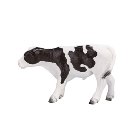 Holstein kalf Mojo 387061