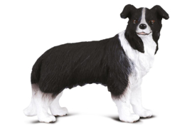 Border Collie  CollectA 88010