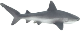 Grijze Rifhaai   S100099