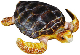 Loggerhead Turtle   CollectA 88094