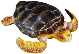 Onechte karetschildpad   CollectA 88094