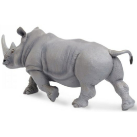 White Rhino   XXL S111989
