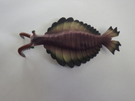 Anomalocaris  (Cambrium)