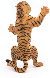 Tiger standing  Papo  50208