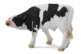 German Black Pied calf    CollectA 884848