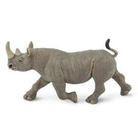 Black Rhino   S228929
