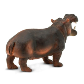 Hippopotamus  S229029