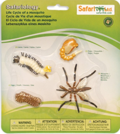 Mosquito  Lifecycle