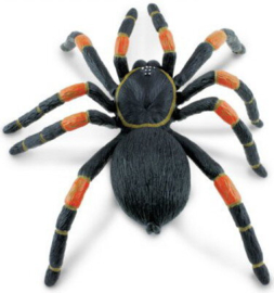 Tarantula  S542006