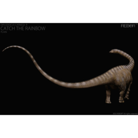 Female Diplodocus carnegii "Catch the Rainbow"