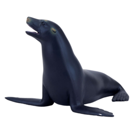 Californian sealion  Mojo 387115