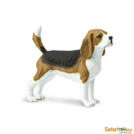 Beagle Safari Ltd S254929