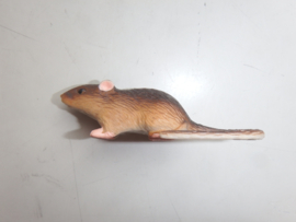 Rat   mini