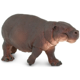 Pygmy Hippo   Safari Ltd S229229