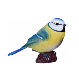 Blue tit  Mojo   available
