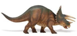 Triceratops  S284529