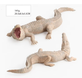 Crocodile  white