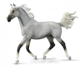 Half Arabian Stallion CollectA 88959  XXL De Luxe