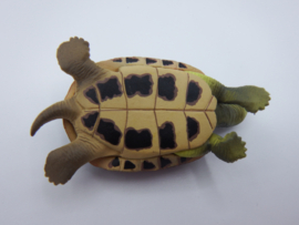Pond turtle  Takara Tomy