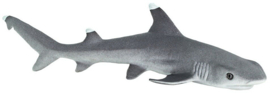 Whitetip Reef Shark   S100100
