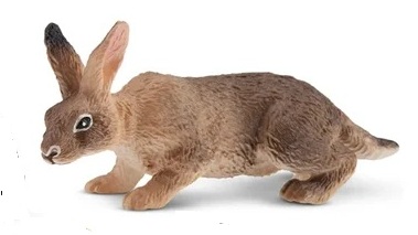 Belgian hare  Toymany
