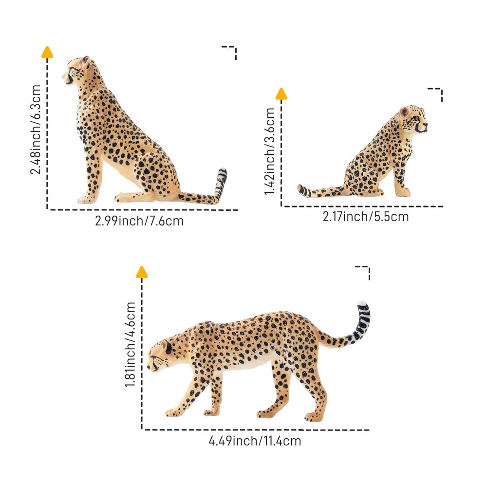 Cheetah family  (8 ex.)