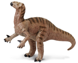 Iguanodon S410801 Carnegie