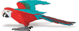 Green-winged macaw S263929