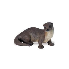 River Otter S291529