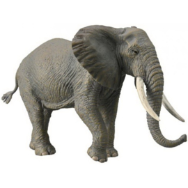 Elephant African CollectA 88966