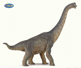 Brachiosaurus Papo 55030