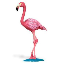 Flamingo   S100262