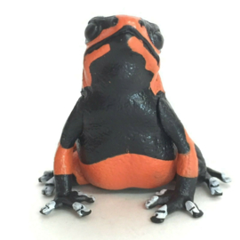 Lehmann's poison frog