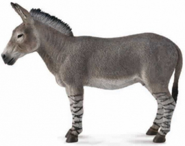 African wild donkey   CollectA 88664