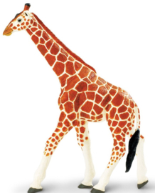 Giraffe  XXL  S 111189