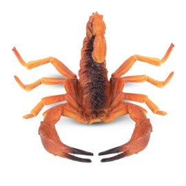 Red Scorpion  Toymany